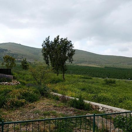 Villa נוריות בגלבוע 1 Nurit Esterno foto